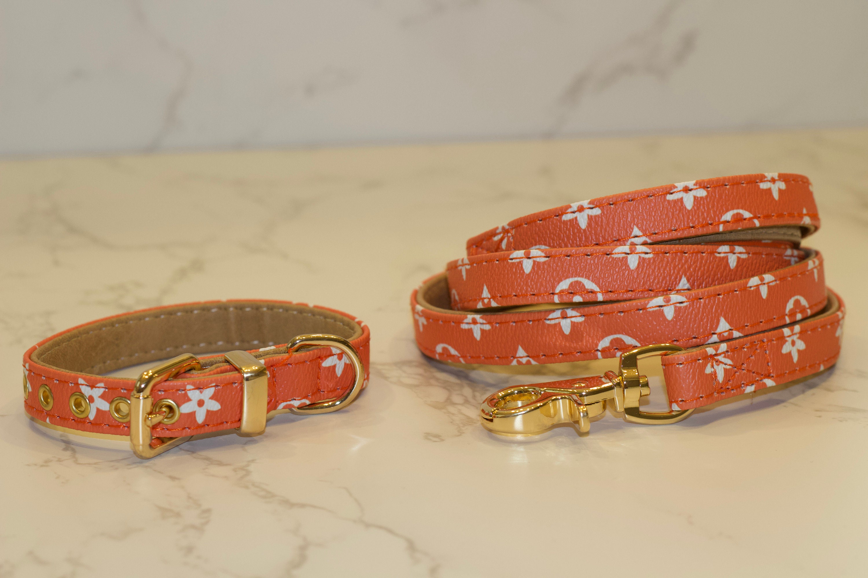 Louis Vuitton Dog Collar and Leash