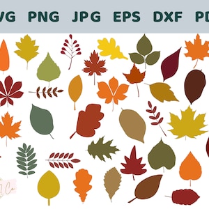 Solid Fall Leaves SVG, Sublimation, Cricut Silhouette Cut Files PNG PDF eps dxf clip art image, 44 single cut leaf images, autumn, trees