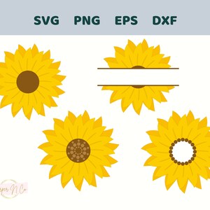 Pacote SVG de girassol, nome personalizado, clipart de girassol, PNG, EPS, Dxf, arquivos SVG para Cricut e Silhouette, design de camiseta, download digital