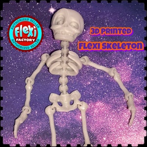 Flexi Skeleton | 3D Printed