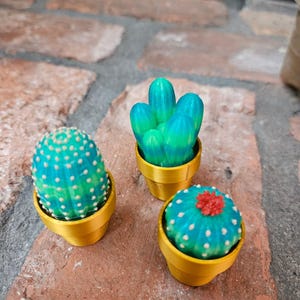 May include: Three small potted cactus plants. The cactus plants are green and blue with white dots. One cactus has a red flower on top. The pots are gold.