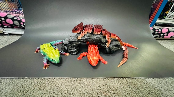 3D Printed Red-eyed Crocodile Skink | Articulated - Etsy