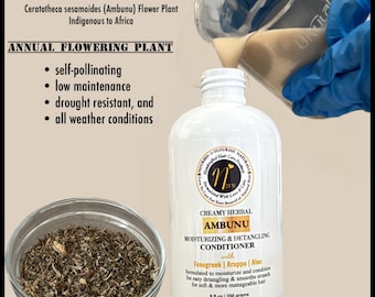 AMBUNU Creamy Herbal Moisturizing & Detangling Conditioner w/Fenugreek, Arappu, and Aloe