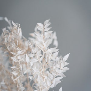 Ruskus blanco/flores secas, ramo de flores secas, bricolaje, flores secas, decoración, hogar, regalo
