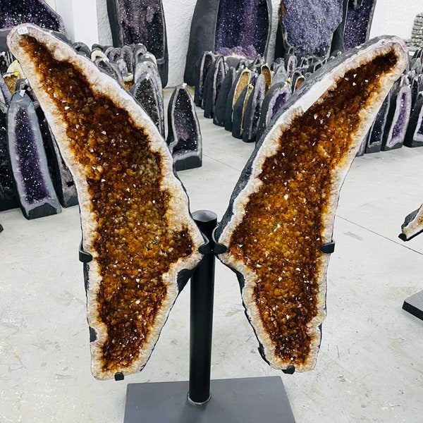 41" Citrine BUTTERFLY/ Angel WINGS Pair*** (Cathedral/ Geode/ Cluster)