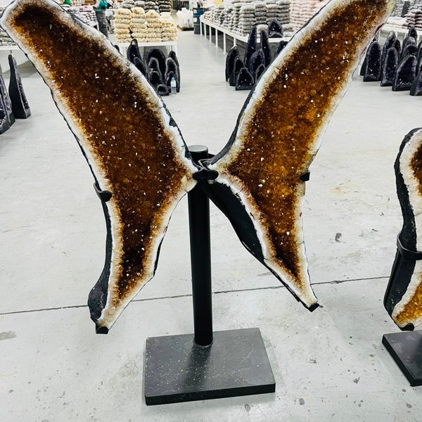 46" Citrine BUTTERFLY/ Angel WINGS Pair*** (Cathedral/ Geode/ Cluster)