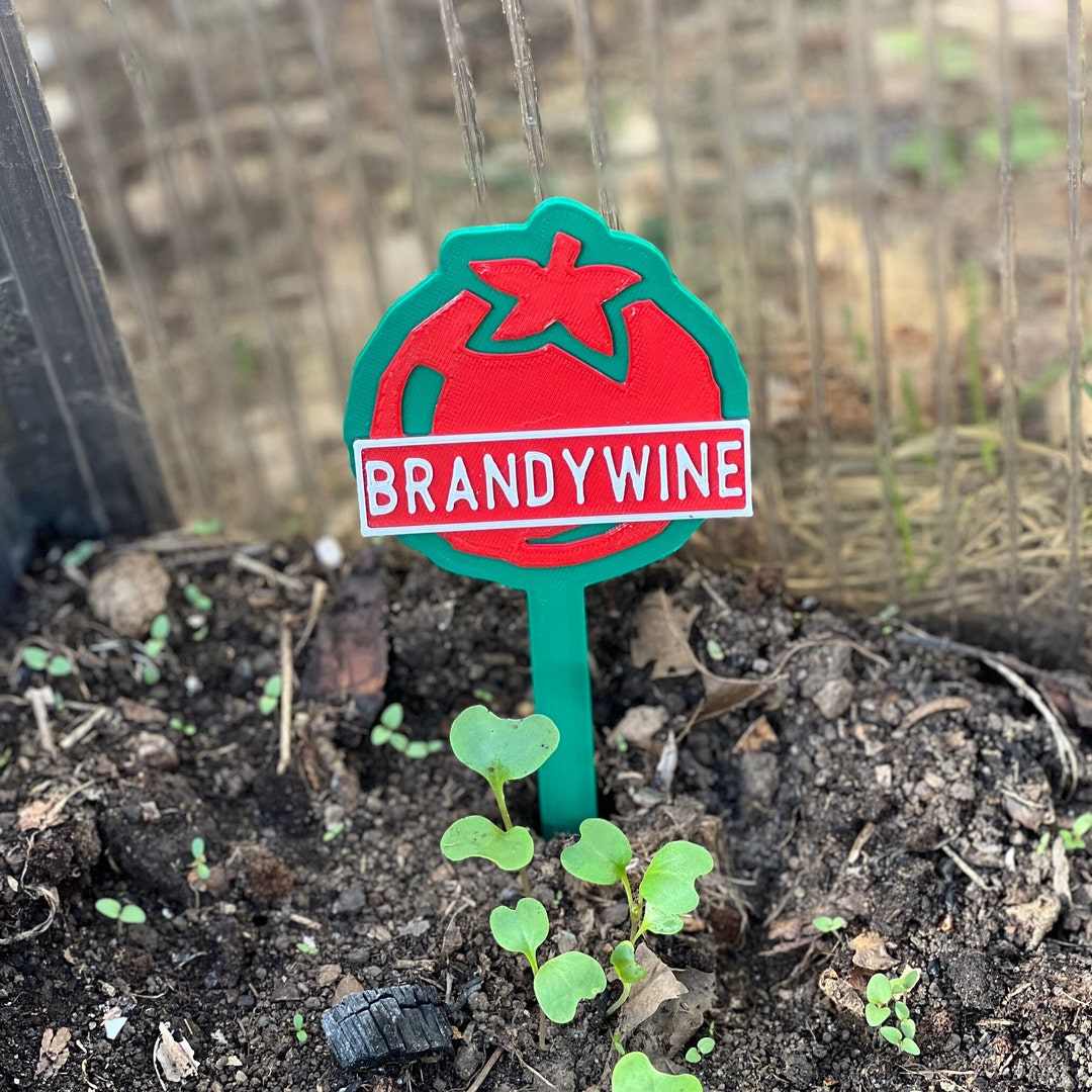 Plant Markers Tomato Varieties Brandywine, Better Boy, Early Girl, Big