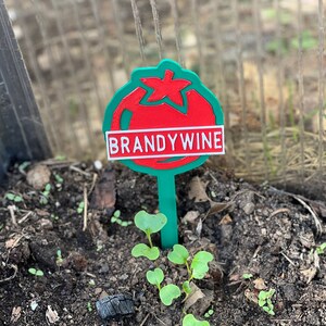 Plant Markers - Tomato Varieties - Brandywine, Better Boy, Early Girl, Big Beef, Black Krim, Cherokee Purple, Mortgage Lifter, and More