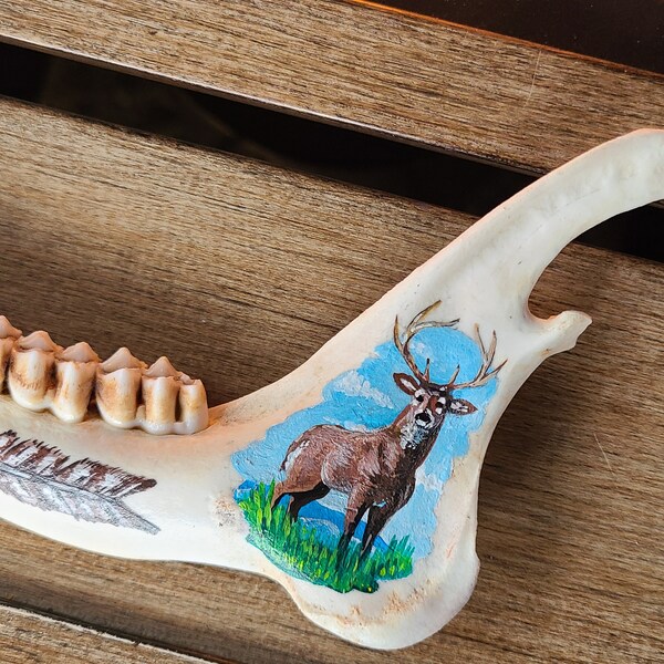 Painted Deer Skull - Etsy