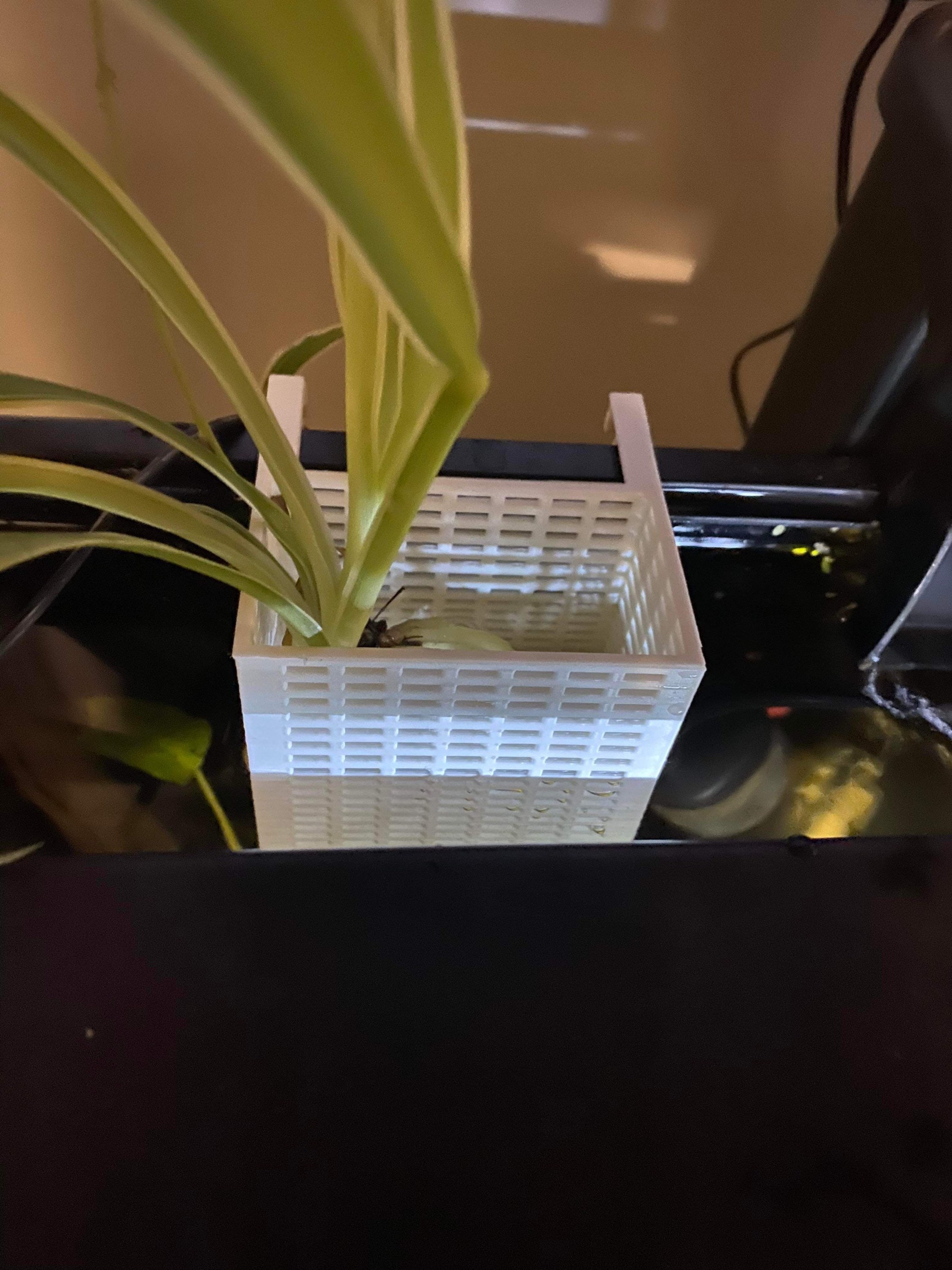 Mesh aquarium store plant pots