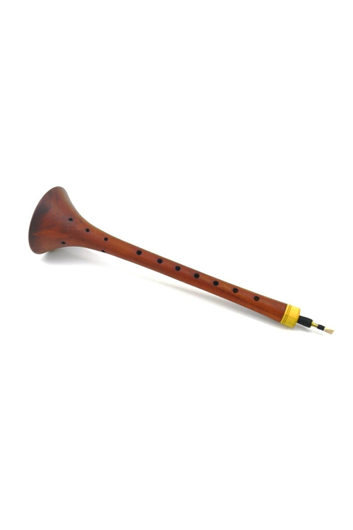 Médula ósea Secretar zurna musical instrument Retirada Favor