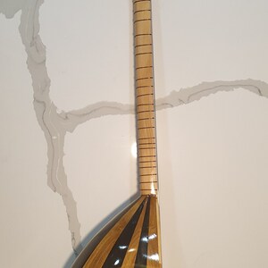 May include: A wooden stringed instrument with a pear-shaped body and a long neck. The body is decorated with alternating black and brown stripes. The neck has a series of tuning pegs at the top.