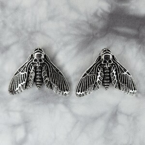 Puede incluir: Un par de pendientes de plata con forma de polilla calavera. Las polillas tienen alas detalladas y un dise&ntilde;o de calavera en el centro.