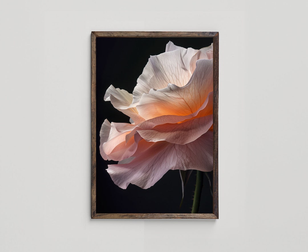 Pink Flower Printable Wall Art, Black and Pink Wall Decor, Fine Art ...