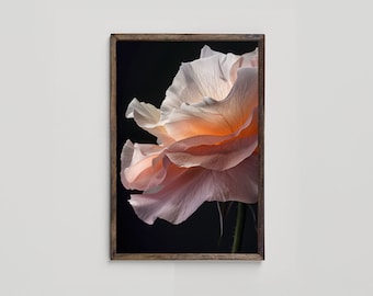 Pink Flower Printable Wall Art, Black and Pink Wall Decor, Fine Art Floral Photography for Home Decor and nursery, Digital Download