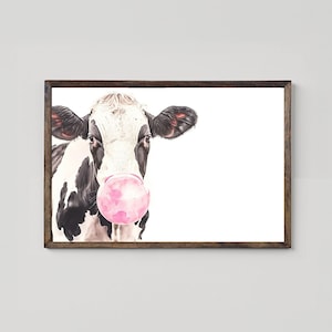 May include: A black and white cow with a pink bubble gum bubble in its mouth. The cow is looking directly at the viewer.