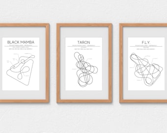 Phantasialand Roller Coaster Layouts - Modern Wall Art - Roller Coaster Minimalistic Print Poster Theme Park Print Roller Coaster Gift