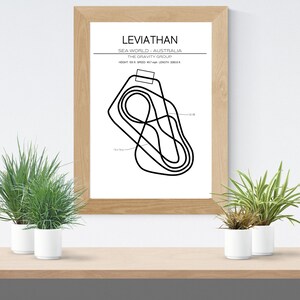 May include: A framed print featuring a black and white line drawing of a roller coaster track, labeled "Leviathan" and "Sea World - Australia." The print is in a light wood frame, and the image is displayed on a wooden shelf with potted plants.
