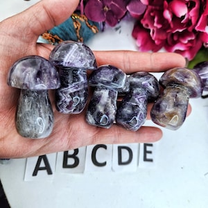 Adorable Mushroom Chevron Amethyst Brazil Mushie Fairycore Fairy Nature Fantasy Natural High Quality