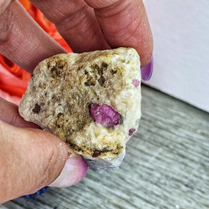 May include: A rough, beige-colored rock with several embedded, vibrant pink ruby crystals. The rock has a textured surface with dark brown and black spots. The ruby crystals vary in size and shape, adding to the natural aesthetic.