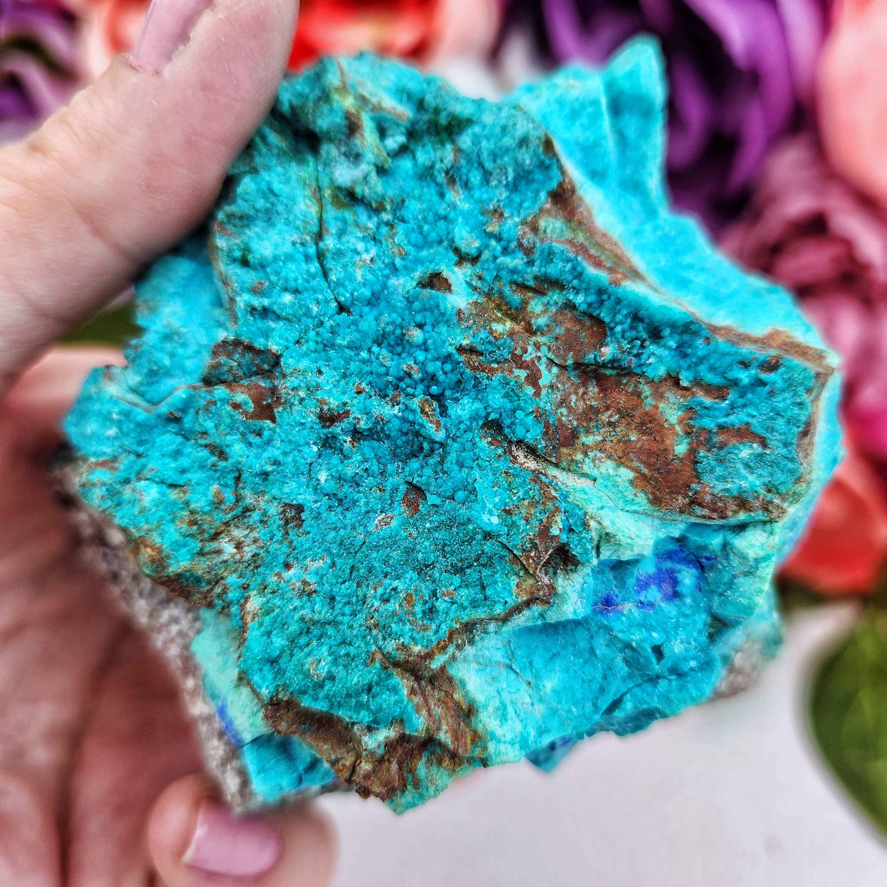 Chrysocolla Azurite Rare Color Teal Mexico Turquoise Aqua Specimen