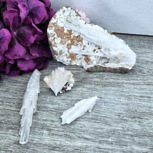May include: Three white selenite crystals, one in a cluster on a rock, and two individual crystals. The crystals are on a gray wooden surface.