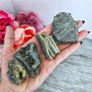 May include: Four rough, gray and gold pyrite crystals with striations. The crystals are in the palm of a hand.
