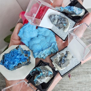 May include: A collection of various mineral specimens in small display cases. The minerals feature shades of blue, gray, and white, with textured surfaces. Some are displayed on white or black bases, and the cases are clear.