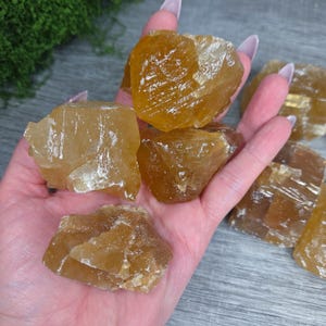 May include: Several raw, unpolished chunks of golden-yellow honey calcite mineral. These stones feature a translucent, crystalline structure with visible cleavage planes and jagged, irregular edges, showcasing a warm, vibrant amber-toned hue.