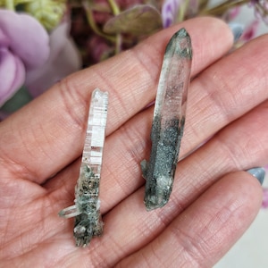 Himalayan Green Phantom Chlorite Included Clear Quartz Garden Crystals Rare Unique Formation Specimen Natural