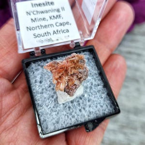 May include: A small, orange-brown inesite crystal specimen in a black display box. The label reads "Inesite N'Chwaning II Mine, KMF, Northern Cape, South Africa".