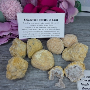 May include: A collection of crackable geodes, some with visible crystal interiors, displayed on a wooden surface. A sign reads "CRACKABLE GEODES $3 EACH". The geodes vary in size and color, ranging from beige to light yellow.