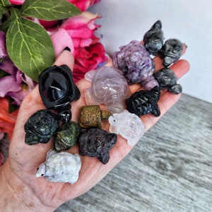 Turtle Carvings Garnet Astrophyllite Purple Jade Yttrium Fluorite Obsidian Carving Crystal Adorable Cute Ocean Marine Natural High Quality