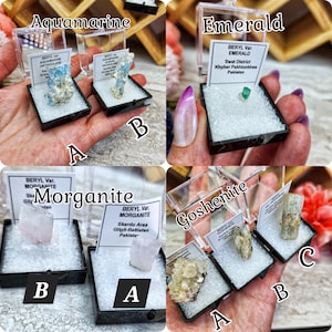 May include: Six small, clear plastic boxes with black lids, each containing a different type of mineral specimen. The boxes are labeled with the mineral names: Aquamarine, Morganite, Emerald, Goshenite. Each box also includes a small label with the mineral's variety, origin, and location.