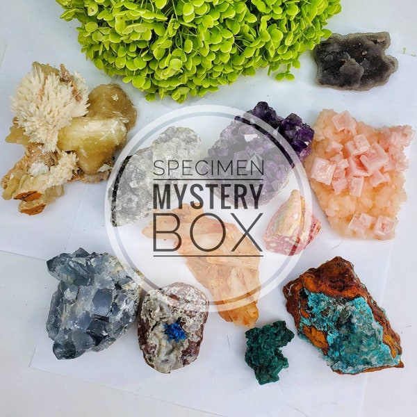 Crystal Raw Specimen Mystery Box Deal Variety Natural High Quality Fun Surprise