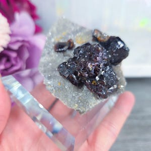Ruby Jack Sphalerite Super Rare Specimen Red Brown Crystals Hard to Find Special Natural Raw High Quality Collector Unique