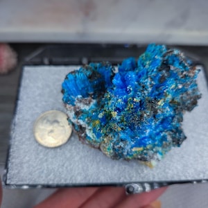 May include: A vibrant blue mineral specimen with crystalline structures, accented by areas of black and yellow. A U.S. quarter coin is placed next to the mineral for size comparison. The mineral is displayed on a gray surface.