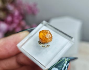 Spessartite Garnet Loliondo on an Acrylic Base 7.8mm, 5.74 Cts Special Natural High Quality Collector Specimen Orange Crystals Unique