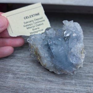 May include: A cluster of light blue celestine crystals. A small, off-white tag with the word "CELESTINE" and other text is held near the crystals. The crystals have a rough, textured appearance and are a pale, translucent blue color.