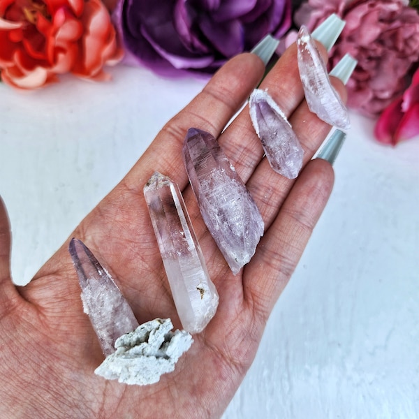 Vera Cruz Amethyst Desireable High Demand Cluster Crystal Rare Natural Specimens High Quality Collector Crystals