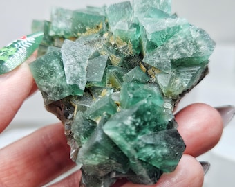 Okorusu Green Fluorite Gorgeous UV Reactive Specimen Crystals High Quality Collector Galaxy 111 grams