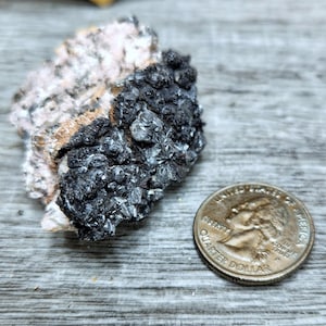 May include: A close-up of a mineral specimen with a quarter for size comparison. The mineral has a dark, crystalline structure on one side and a lighter, pinkish-white, and tan color on the other. The quarter shows the profile of George Washington.