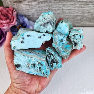 May include: A collection of turquoise and black mineral specimens. The stones are rough and have a variety of shapes and sizes. The turquoise is a vibrant blue-green color, and the black is a deep, rich black.