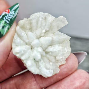May include: A white, crystalline mineral specimen, possibly a geode or cluster, held in a hand. The mineral has a flower-like formation with multiple crystal points. The overall color is off-white with some areas appearing translucent.
