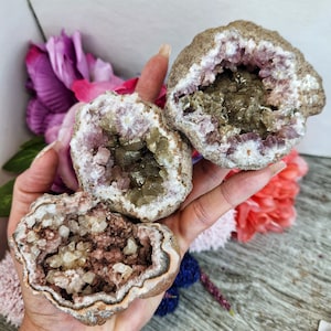 May include: Three amethyst geode crystals with a brown exterior and a purple and white interior. The geodes are open and show the crystals inside.