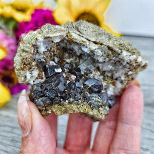 Black Andradite Garnet and Quartz New Mexico Old Collection High Quality Collector Specimen Crystals Portal
