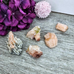 May include: A collection of six small, natural, orange-brown and green selenite crystals. The crystals are arranged on a light brown wooden surface.