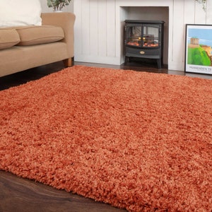 Orange Terracotta Super Soft Shaggy Rug Warm Living Area Bedroom Mat Hallway Runner Rug