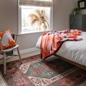 Alfombra tradicional de terracota verde para sala de estar, alfombra lavable de estilo bohemio persa con bordes imagen 2