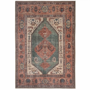 Alfombra tradicional de terracota verde para sala de estar, alfombra lavable de estilo bohemio persa con bordes imagen 7